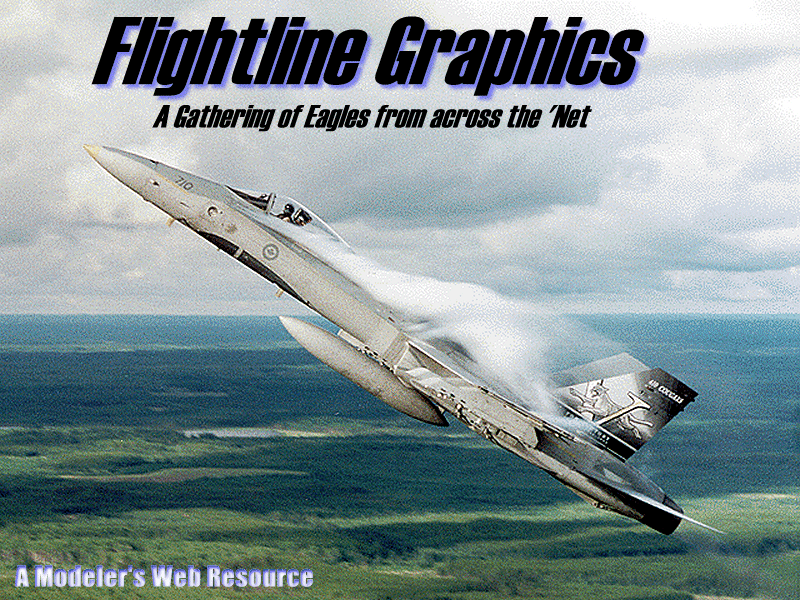 Flightline Graphics Cougar